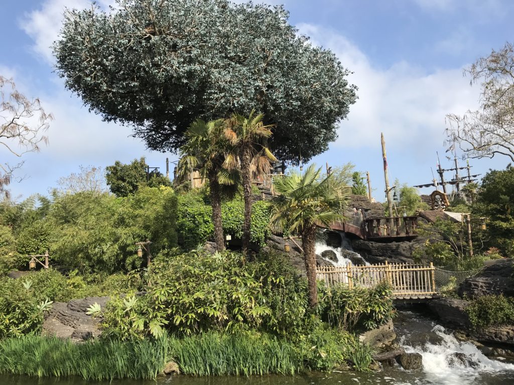 Le disneydendron accueillant la caande des Robinson à Adventureland