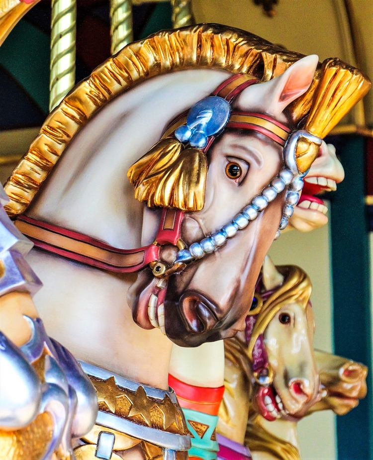 Un cheval de bois du caroussel de Lancelot