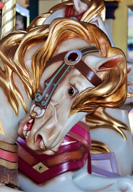Un cheval de bois du caroussel de Lancelot