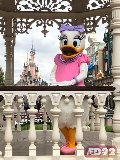 Daisy sur le gazebo de Maint Street Usa