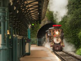 Happy_Train_Part_4_(3)