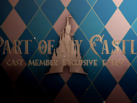 part_of_my_castle_disneyland_paris