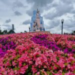 Central Plaza JUIL.2021