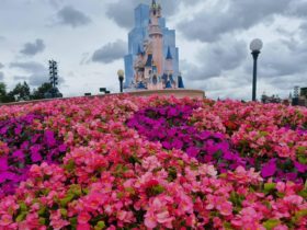 Central Plaza JUIL.2021