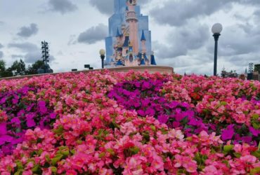 Central Plaza JUIL.2021