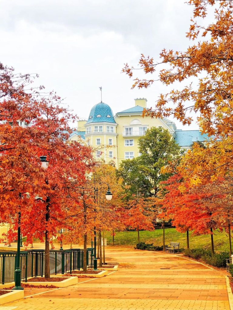 L'hotel Newport Bay club aux couleurs de l' automne 