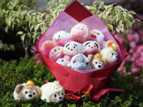 Bouquet de peluches Tsumtsum