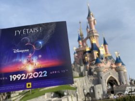 drapeau souvenir 30 ans disneyland paris devant le chateau