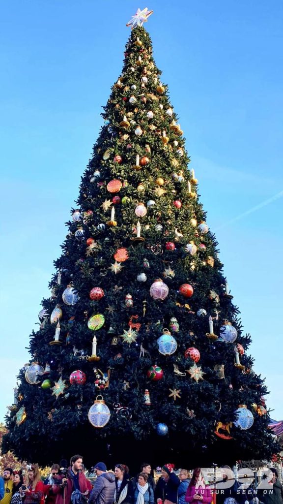 Dlp-bugle, le sapin sur Towan Square 