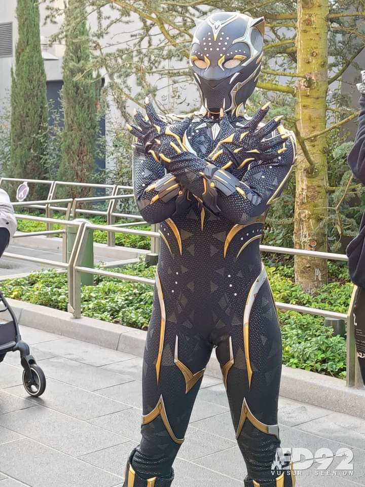 le nouveau black panther à Disneyland Paris